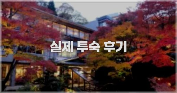 💬 실제 투숙 후기