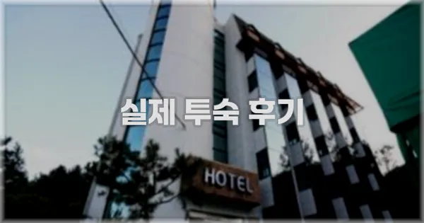 💬 실제 투숙 후기